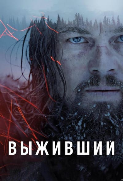 Постер: Выживший