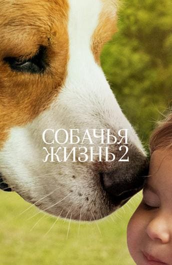 Постер: Собачья жизнь 2