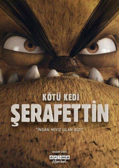 Постер: Плохой кот Шерафеттин
