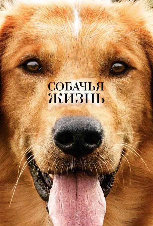 Постер: Собачья жизнь